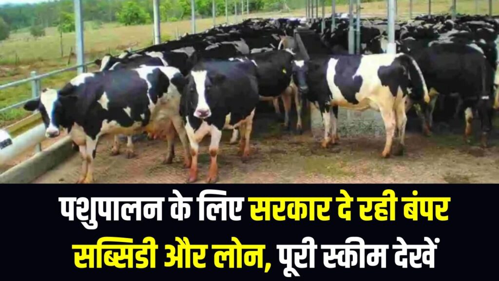 Pashupalan Loan Scheme: पशुपालन के लिए सरकार दे रही बंपर सब्सिडी और लोन, पूरी स्कीम की डिटेल एक जगह देखें