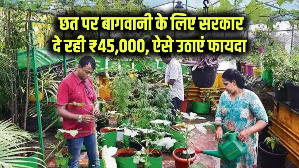 government schemes bihar govt giving rs 45000 for terrace gardening know all details