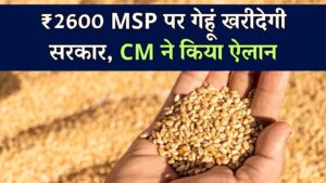 बड़ा तोहफा! सरकार खरीदेगी ₹2600 क्विंटल MSP पर गेहूं, सीएम ने किया ऐलान